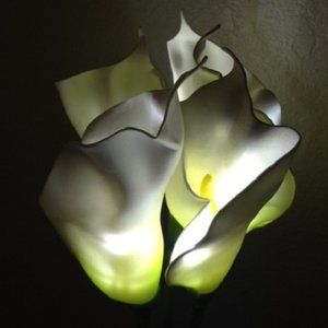 LED 24 inch Beautiful Tall Five Calla Lilies NEW